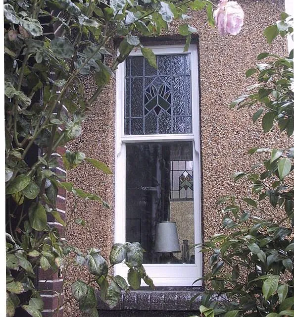 Sash and case windows