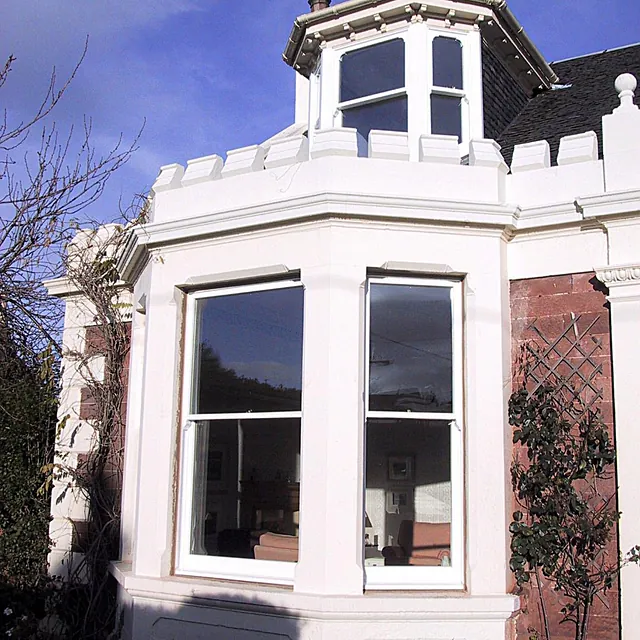 Sash and case windows