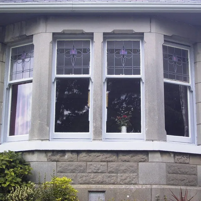 Sash and case windows